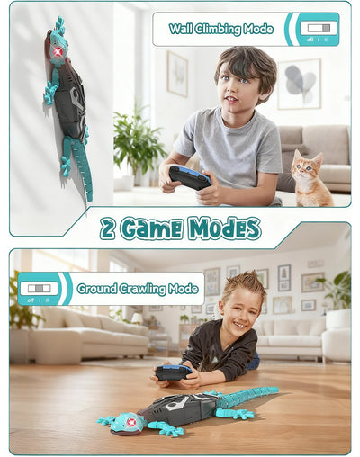 Robot Gecko Remote Control